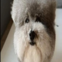 avatar _awdsawe32jioWAD