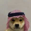 xpcrxpct