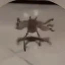 evervoid.