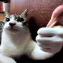 avatar maciekpodgurny