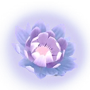 nesmeralda.