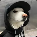 doql