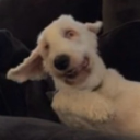 avatar Lucy 🤍🎧☕🫧