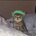 warvanthedude