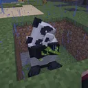 floxxofficial