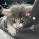 neko_fnaf