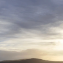 stealthmechanicalpencil's profile picture