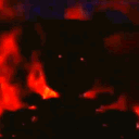 54j9