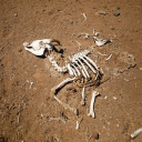 avatar GkrmsFnBy 3.0