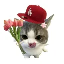 alicesawada