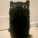 mauku137