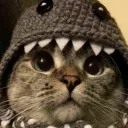 Аватар shampinion22