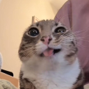 jorditsu_