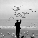 avatar ! I have an important exam!!!!