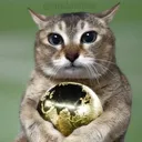 funseba