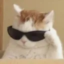 justfxnessed