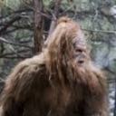 avatar Grand Pere du BIGFOOT