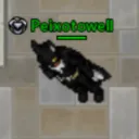 peixotowell