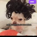 eljaibersito_ avatar