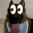 kulfiv