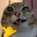 itzmexo20