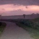 Аватар tedis12_12590