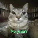 juan021337 avatar