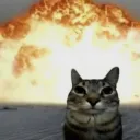 ._.catlover69.