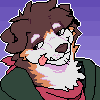 skipcollie