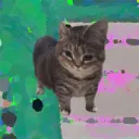 kayo.g