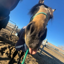 avatar 𖤐𝒸𝒽𝒶𝓇𝓁𝒾ℯ𖤐