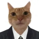 sr.cordero_123_87661 avatar