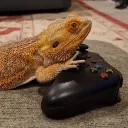 topteirgaming