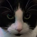 moistoh