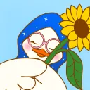 hanyameroll