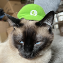 Discord Avatar