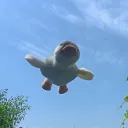 rxaouf