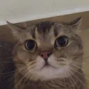 keemothegamer