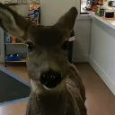 avatar ScaryGhost👻