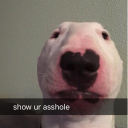 joshbust#5373's avatar