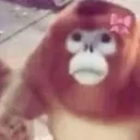 coldalfredo