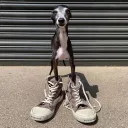 expensivecoffeesobitter avatar