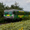 gv430