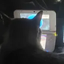 c_o