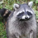 santiago12199 avatar