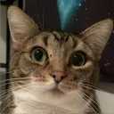 thekevinc
