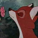bbrookiecookiee