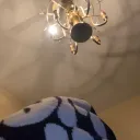 larnxte