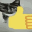 keemfrmgdz