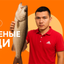 bu_md